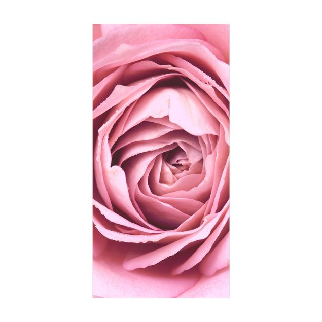 Teppich Blumen Rosa Rosenblüte