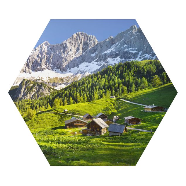 Hexagon Bild Alu-Dibond - Steiermark Almwiese