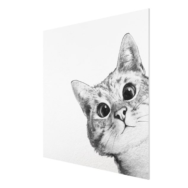 Wandbilder Illustration Katze Zeichnung Schwarz Weiß