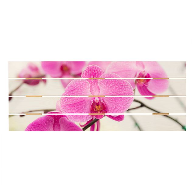 Holzbild - Nahaufnahme Orchidee - Querformat 2:5