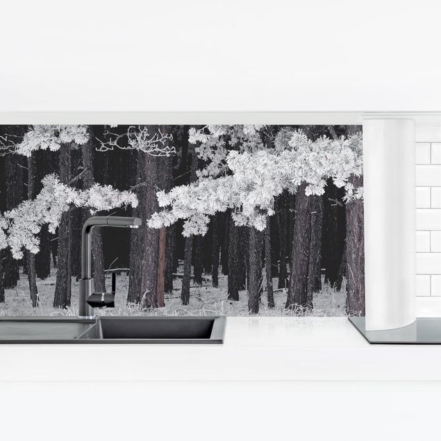 Küchenrückwand Folie Schwarz-Weiß Wald mit Raureif in Österreich