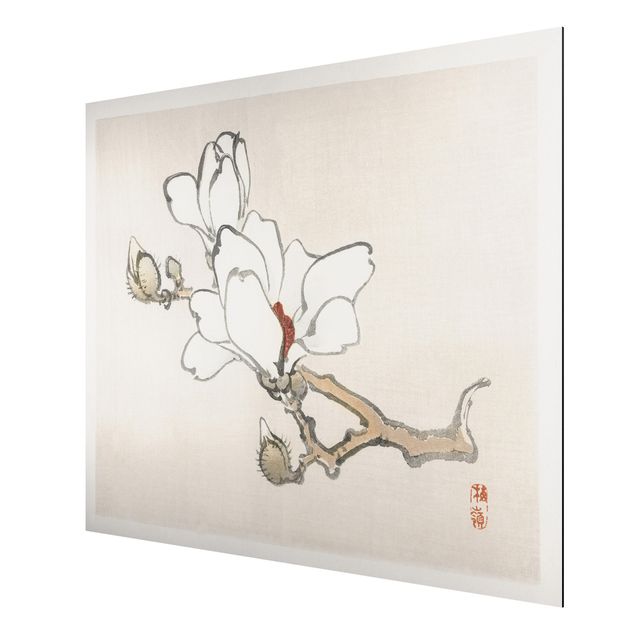 Aluminium Print gebürstet - Asiatische Vintage Zeichnung Weiße Magnolie - Querformat 3:4