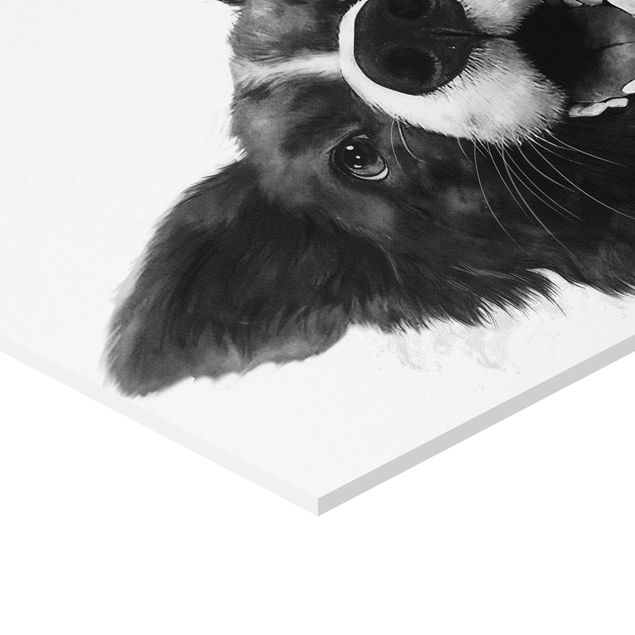 Hexagon Bild Forex - Illustration Hund Border Collie Schwarz Weiß Malerei