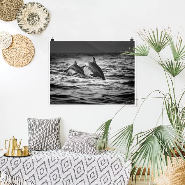 Poster Schwarz Weiß Querformat Zwei springende Delfine