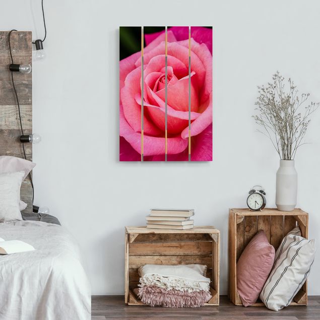 Moderne Holzbilder Pinke Rosenblüte vor Grün
