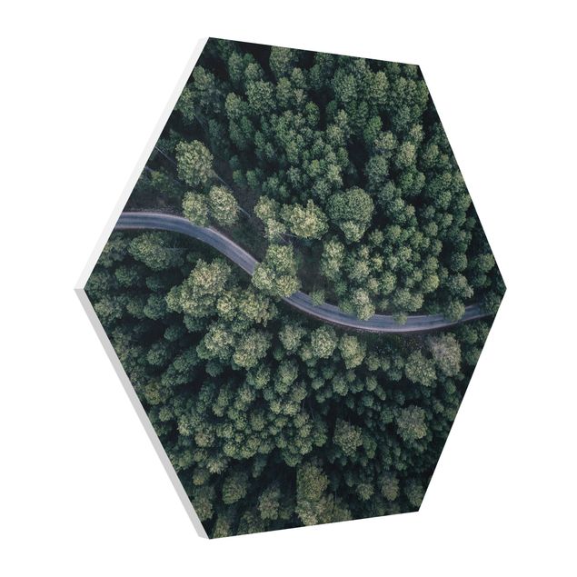 Hexagon Bild Forex - Luftbild - Waldstraße von Oben
