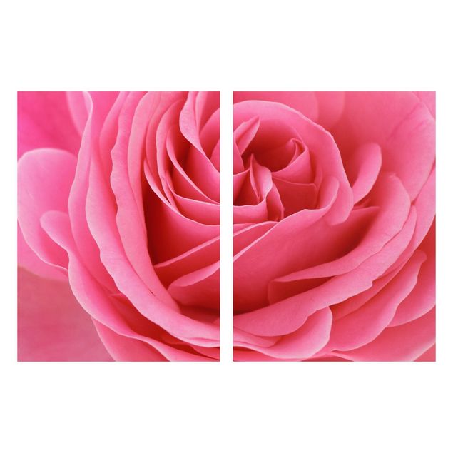 Schöne Wandbilder Lustful Pink Rose