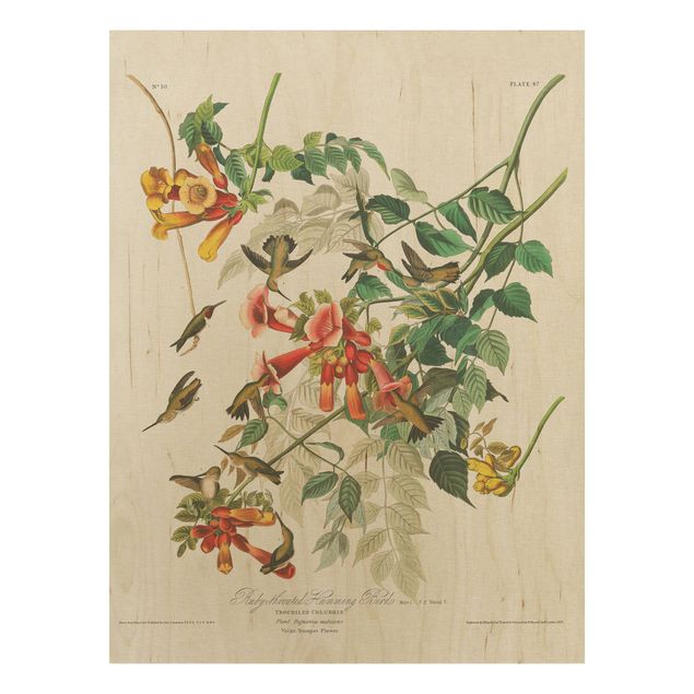Holzbild Blumen Vintage Lehrtafel Rubinkehlkolibris