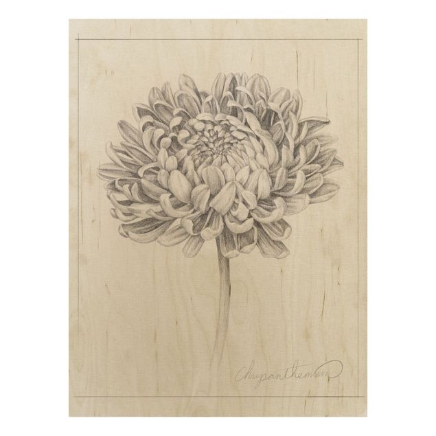 Holzbilder mit Blumen Botanische Studie Chrysantheme II