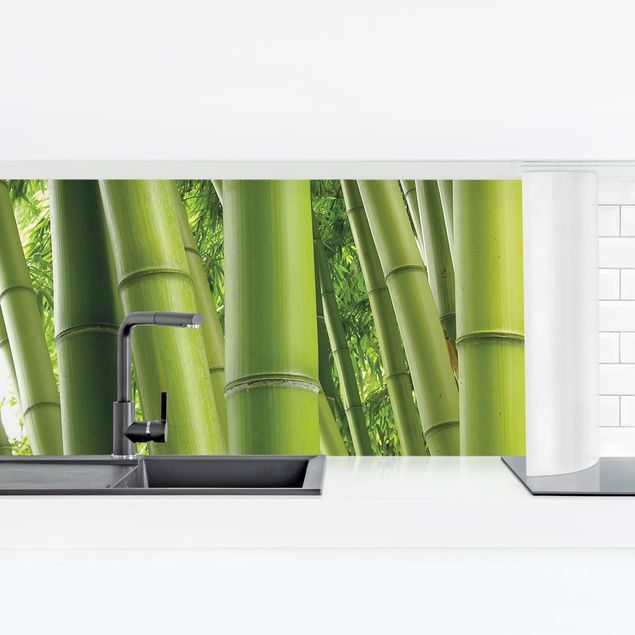 Küchenrückwände selbstklebend Bamboo Trees