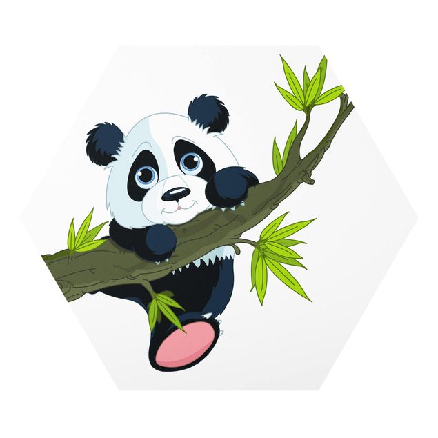 Hexagon Bild Forex - Kletternder Panda