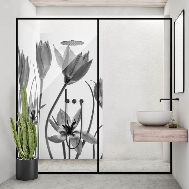 Duschrückwand - Sieben Tulpenblüten Schwarz-weiß