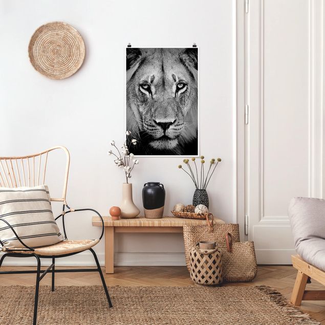 Poster Schwarz-Weiß Alter Löwe