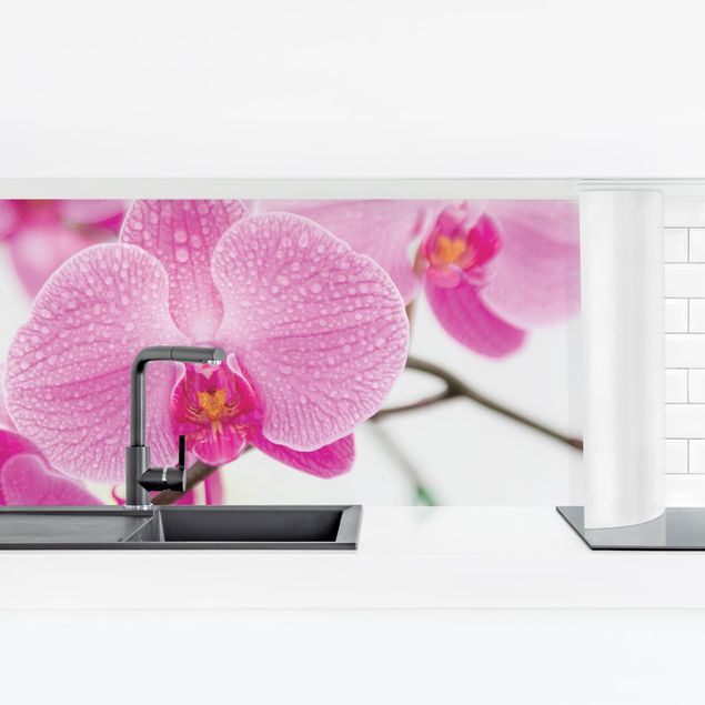 Küchenrückwände selbstklebend Nahaufnahme Orchidee