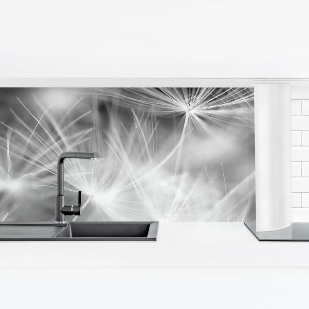 Küchenrückwand - Bewegte Pusteblumen Nahaufnahme auf schwarzem Hintergrund