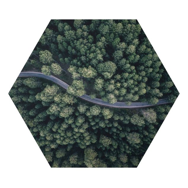 Hexagon Bild Forex - Luftbild - Waldstraße von Oben