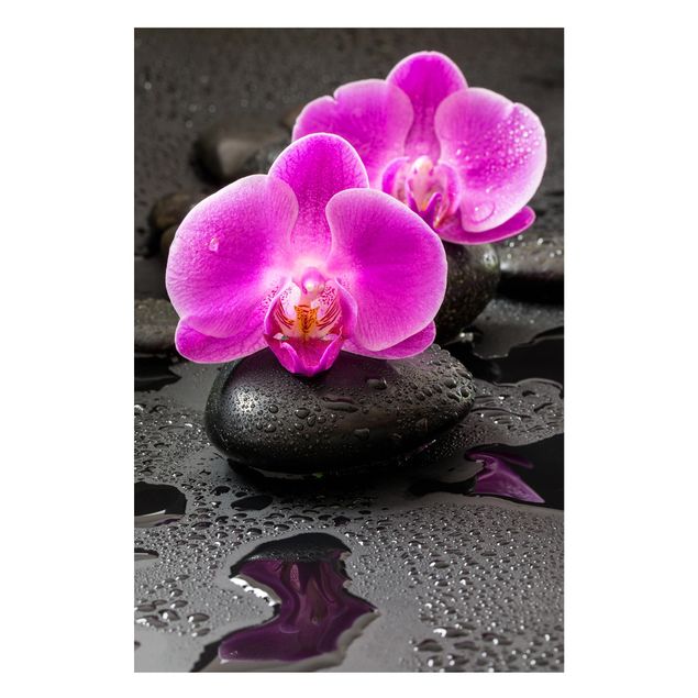 Magnettafel Steinoptik Pinke Orchideenblüten auf Steinen mit Tropfen