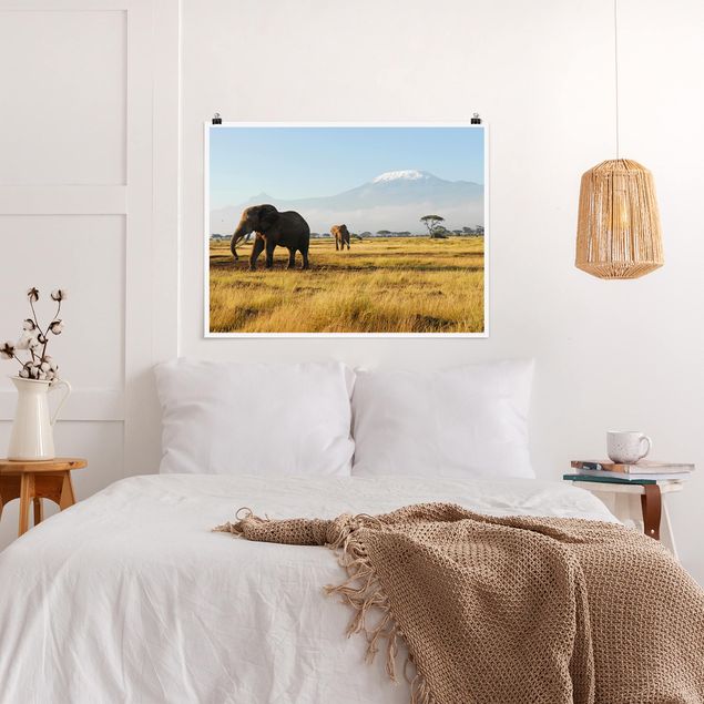 Tiere Poster Elefanten vor dem Kilimanjaro in Kenia