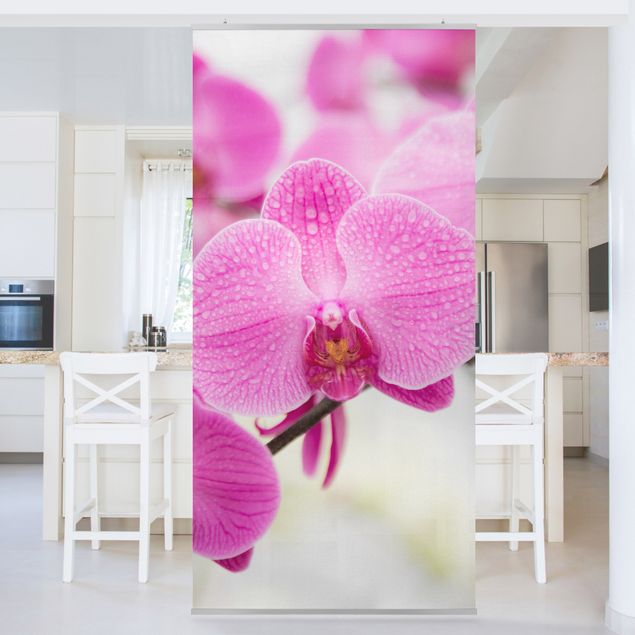 Raumtrenner Vorhang Nahaufnahme Orchidee