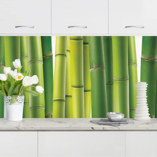 Küchenrückwände Platte Bambuspflanzen I