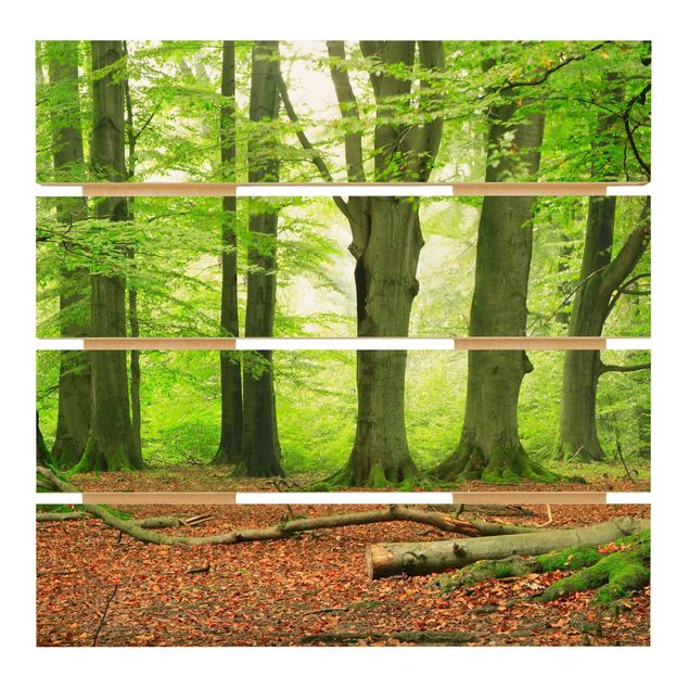 Holzbild - Mighty Beech Trees - Quadrat 1:1