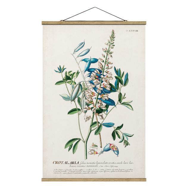 Stoffbild mit Posterleisten - Vintage Botanik Illustration Hülsenfrüchte - Hochformat 2:3
