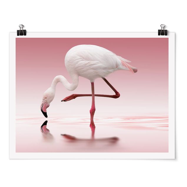 Poster bestellen Flamingo Dance