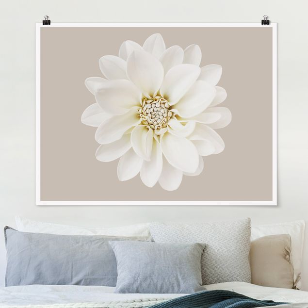 Blumen Poster Dahlie Weiß Taupe Pastel Zentriert