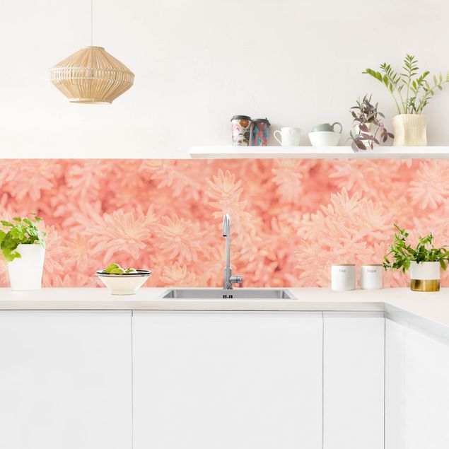 Küchenrückwand Glas Blumen Rosmarin Rosa
