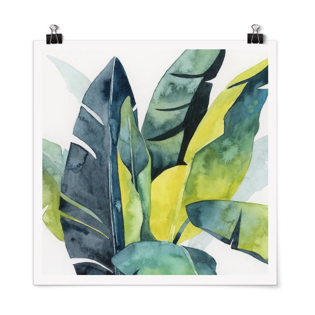 Poster - Tropisches Blattwerk - Banane - Quadrat 1:1