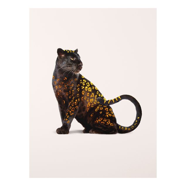 Bilder auf Hartschaumplatte Goldener Panther