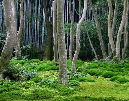 Waschbeckenunterschrank - Japanischer Wald - Badschrank Grün