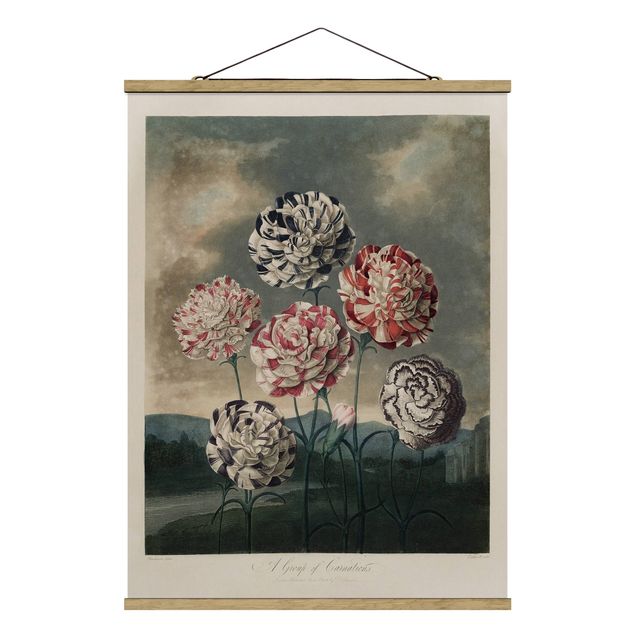 Stoffbild mit Posterleisten - Botanik Vintage Illustration Blaue und rote Nelken - Hochformat 3:4
