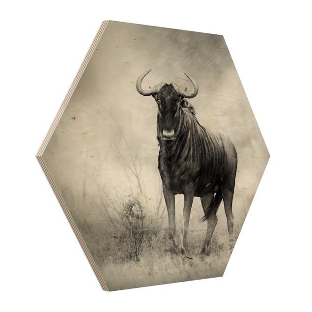 Hexagon Bild Holz - Staring Wildebeest