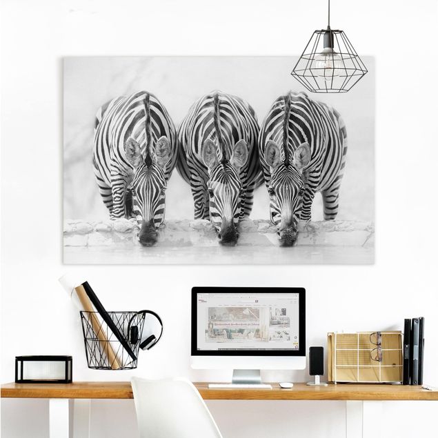 Leinwandbild - Zebra Trio schwarz-weiß - Querformat 2:3