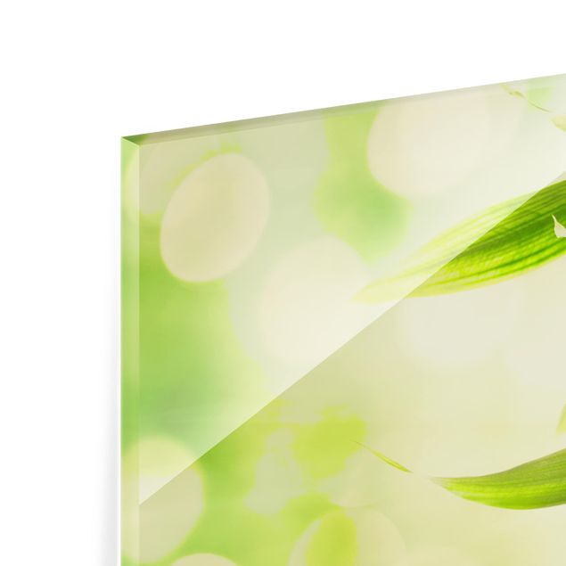 Glas Spritzschutz - Green Ambiance I - Quadrat - 1:1