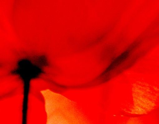 Waschbeckenunterschrank - Magic Poppies - Blumen Badschrank Rot