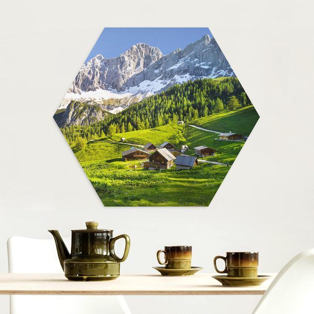 Schöne Wandbilder Steiermark Almwiese