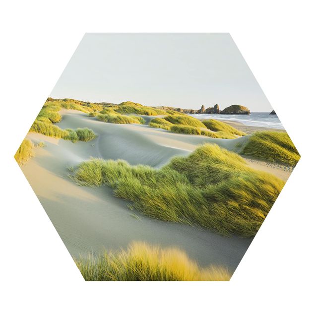 Hexagon Bild Alu-Dibond - Dünen und Gräser am Meer