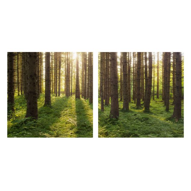 Wandbilder Sonnenstrahlen in grünem Wald