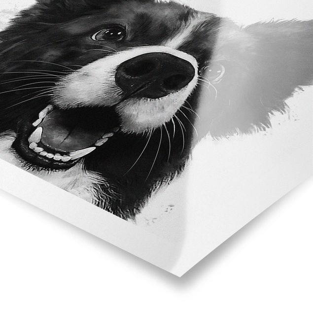 Poster - Illustration Hund Border Collie Schwarz Weiß Malerei - Hochformat 4:3