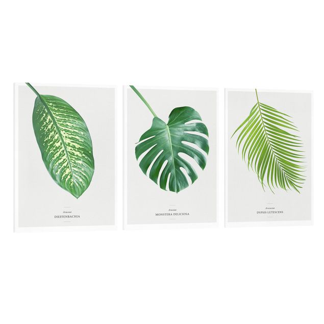 Leinwandbilder Wohnzimmer modern Tropische Blätter