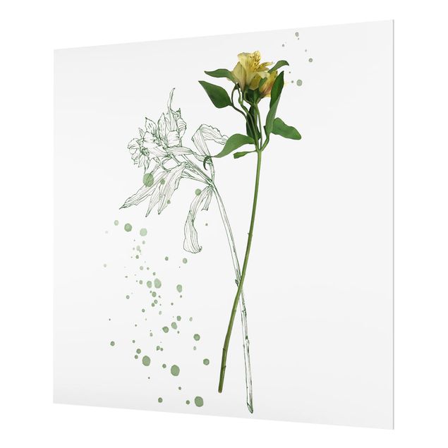 Spritzschutz Weiß Botanisches Aquarell - Lilie
