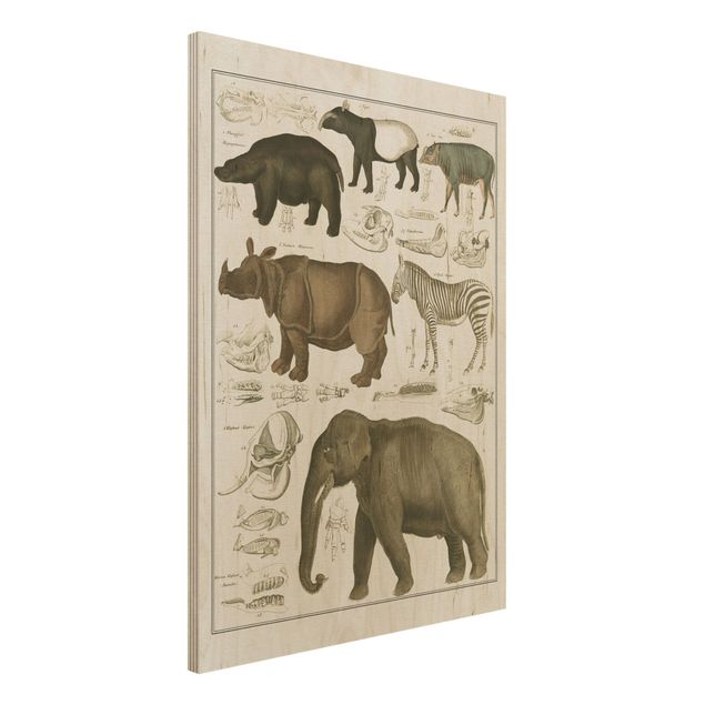Wandbild Holz Vintage Vintage Lehrtafel Elefant, Zebra und Nashorn