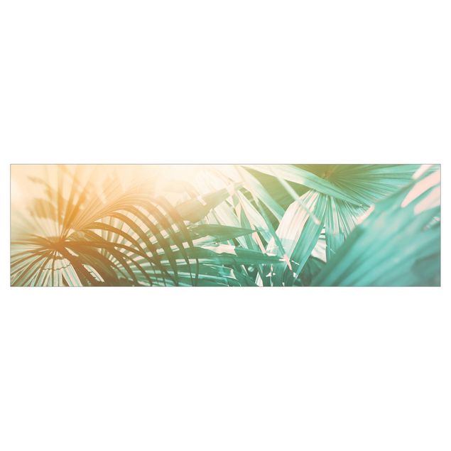 Klebefolien Tropische Pflanzen Palmen bei Sonnenuntergang