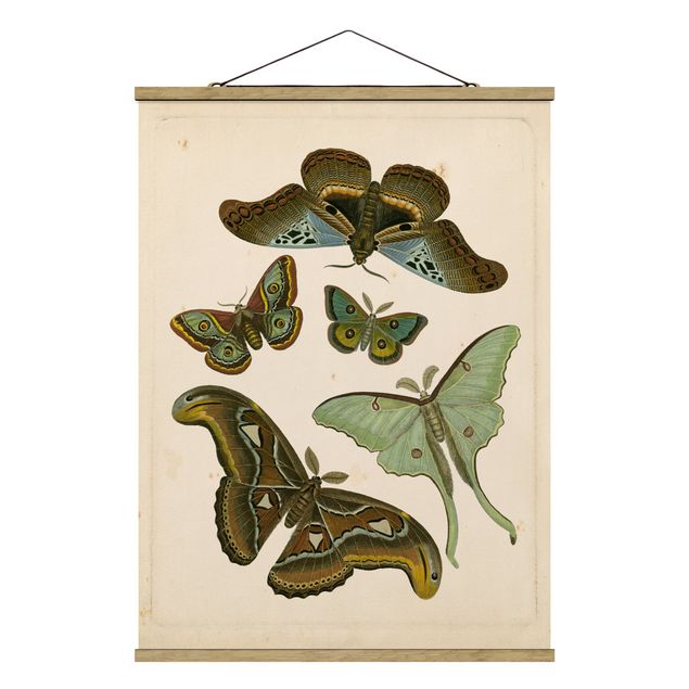 Stoffbild mit Posterleisten - Vintage Illustration Exotische Schmetterlinge II - Hochformat 3:4