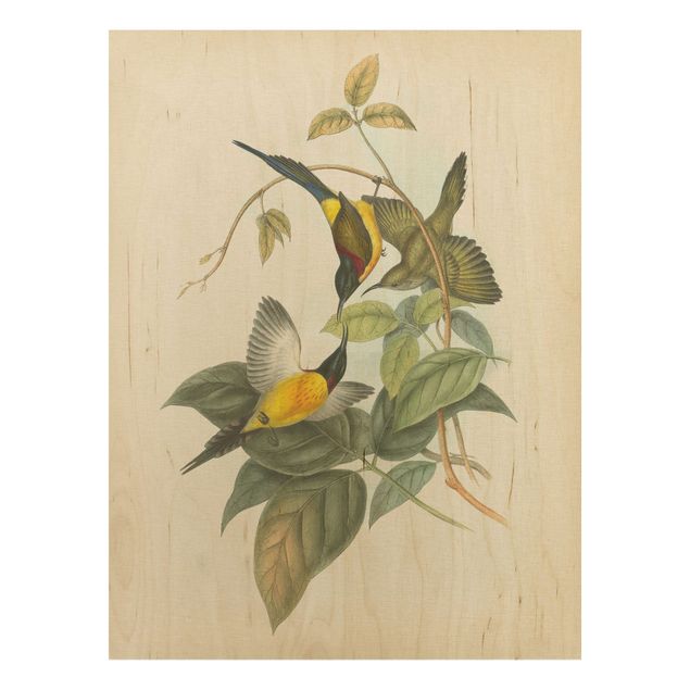 Holzbilder mit Blumen Vintage Illustration Tropische Vögel IV