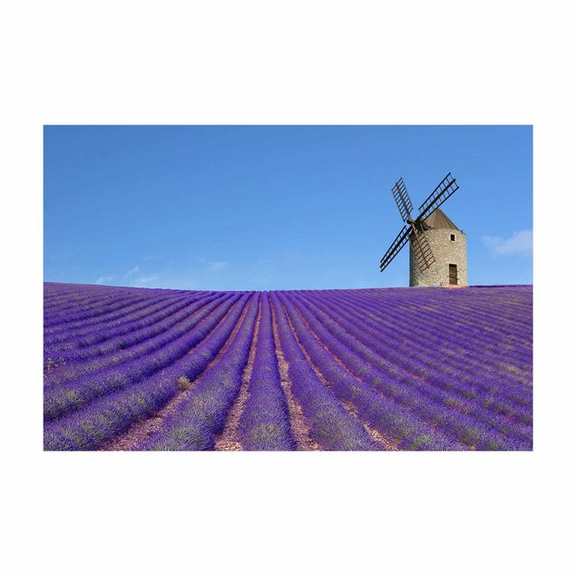 Teppich violett Lavendelduft in der Provence