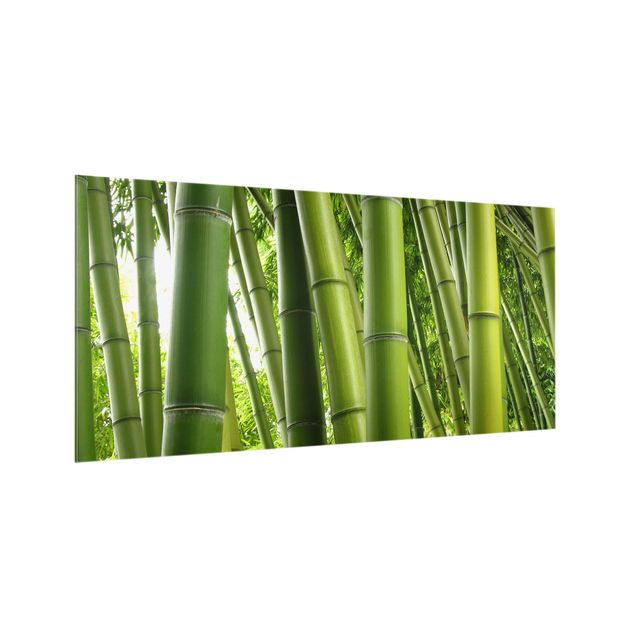 Küchenrückwand Glas Motiv Wald Bamboo Trees
