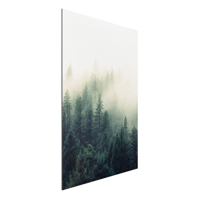 Schöne Wandbilder Wald im Nebel Erwachen
